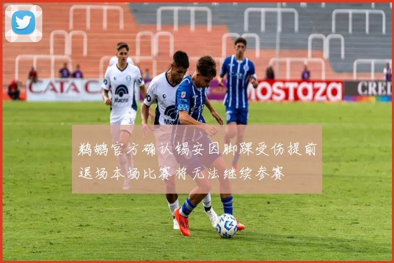 鹈鹕官方确认锡安因脚踝受伤提前退场本场比赛将无法继续参赛