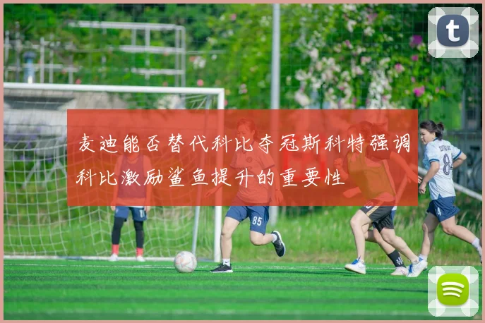 麦迪能否替代科比夺冠斯科特强调科比激励鲨鱼提升的重要性